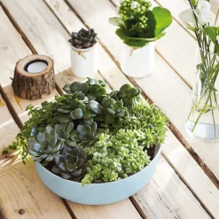 Saladier 22 cm Diwali Paradise Blue