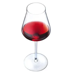 Verre à pied 50 cl Reveal Up