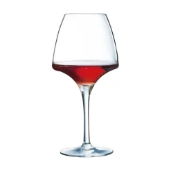 Verre à pied Pro Tasting 32 cl Open Up