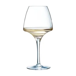 Verre à pied Pro Tasting 32 cl Open Up